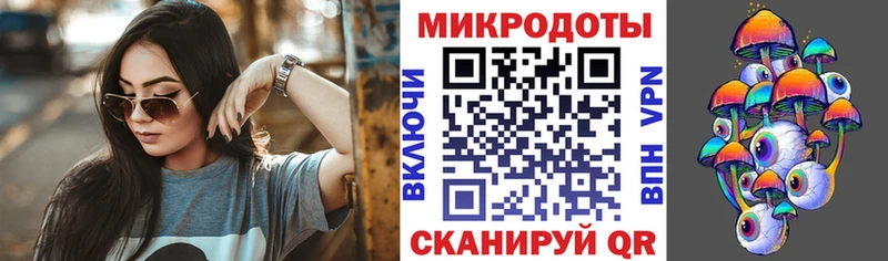 Псилоцибиновые грибы мицелий  сколько стоит  MEGA ССЫЛКА  Черногорск 